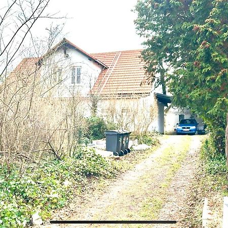 Villa Apartment Near Lousiana Humlebæk Dış mekan fotoğraf