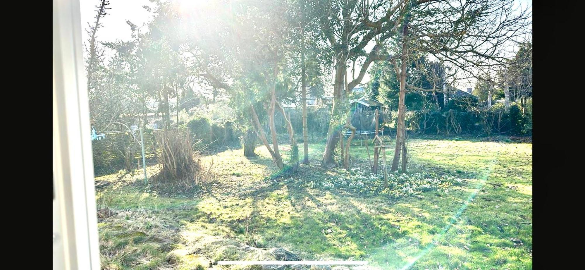 Villa Apartment Near Lousiana Humlebæk Dış mekan fotoğraf